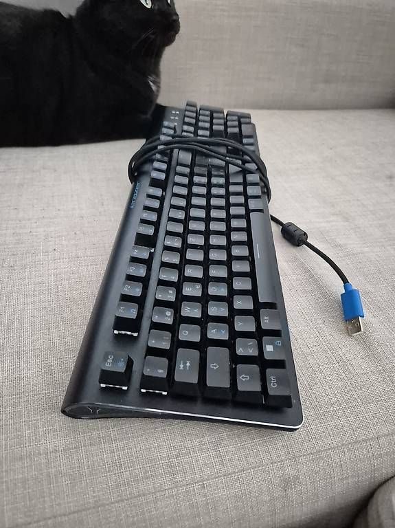 PC: PC Gaming Setup - HP Omen 27s, Tastatur, Logitech X Pro – Usato da Windisch venduto da Xabeba 2
