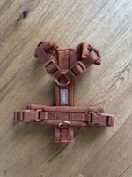 Dog harness Furlou XS