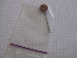 rar alte Fussball Germany FC BAYERN / Anstecknadel