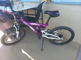 Gut erhaltenes Gecko Mountainbike