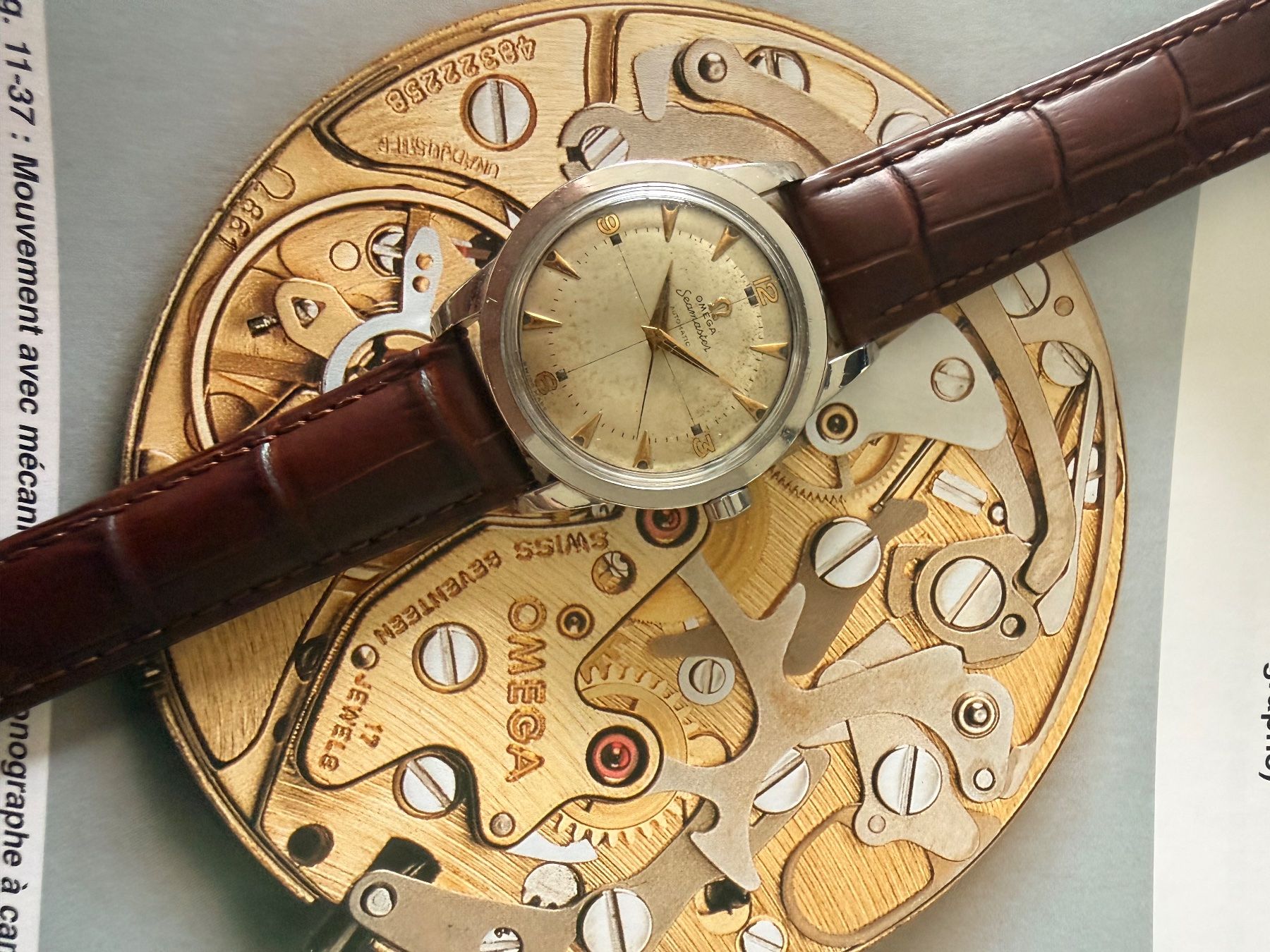 Omega Orologi: Omega Seamaster bumper 36mm – Usato da Nyon venduto da dom_jc9b 1