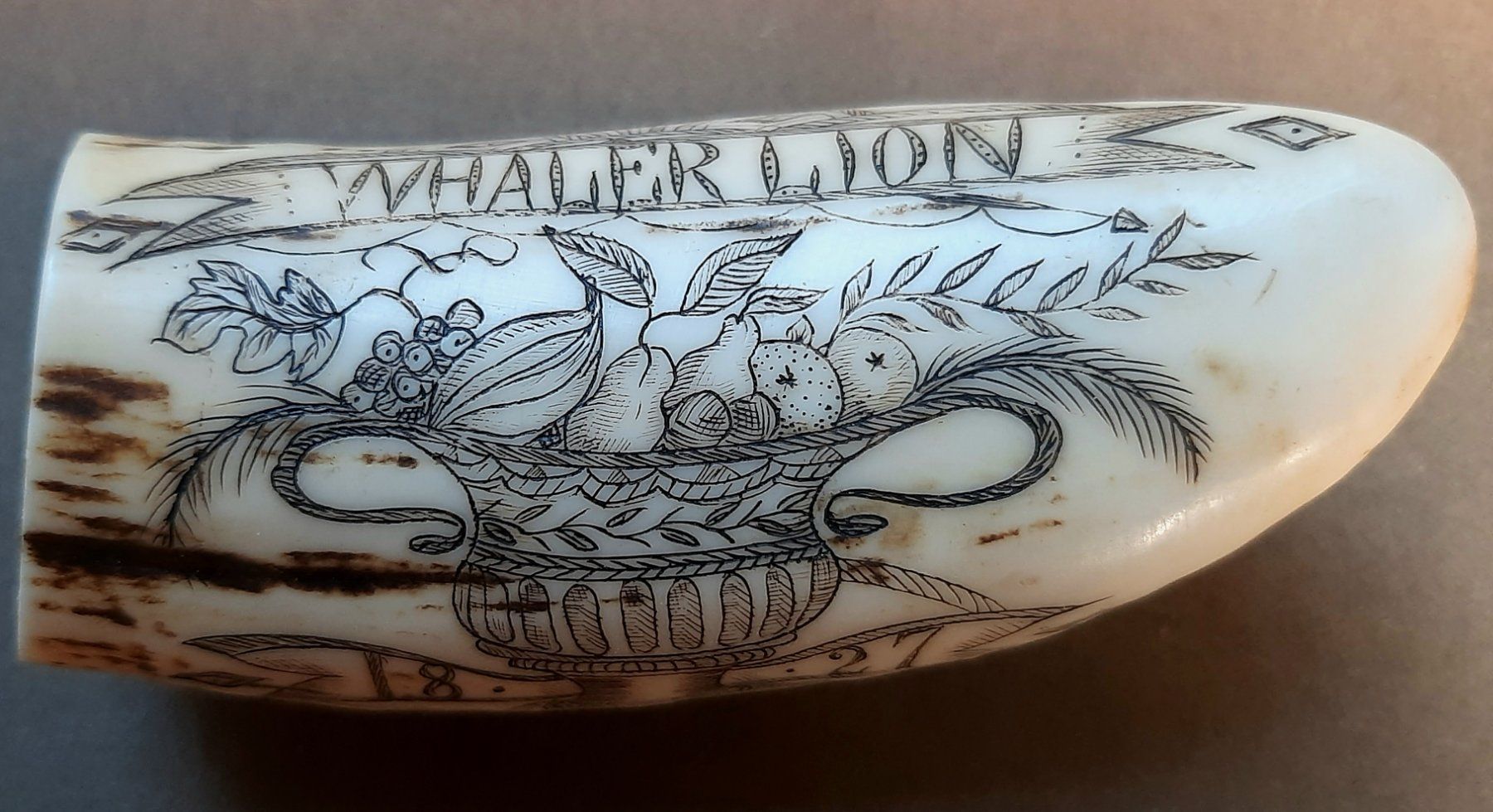 Altre raccolte & rarità: Scrimshaw – Usato da Arbon venduto da torso444 1