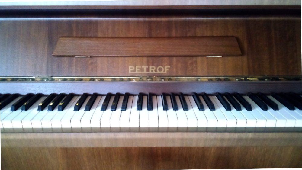 Strumenti musicali: Klavier Marke Petrof – Usato da Meggen venduto da Eisscholle 1