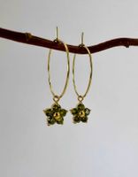 Creolen Gold - hypoallergen - Blume - edler Anhänger