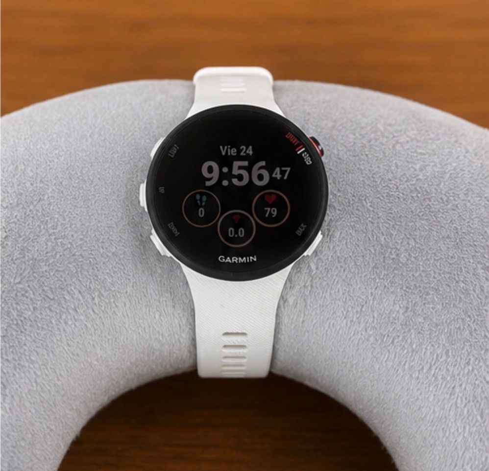 Garmin Smartwatch: Garmin Forerunner 45S – Usato da Zürich venduto da Ale_2bly
