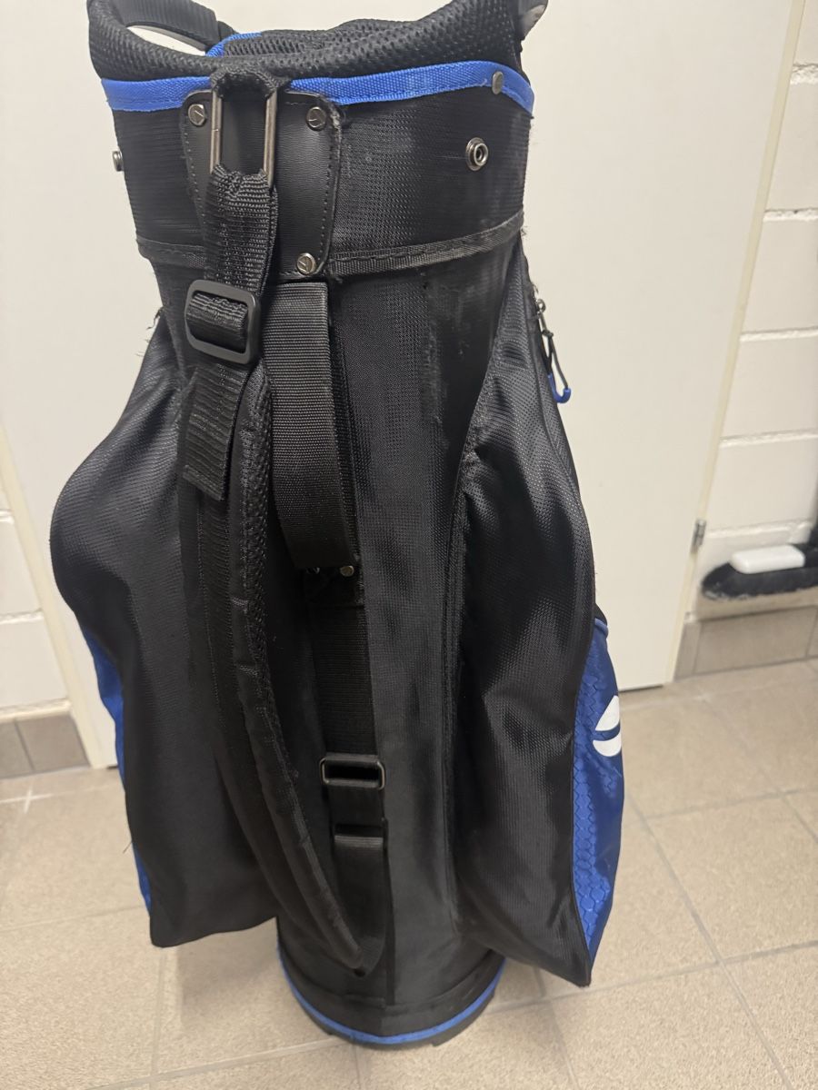 Taylor Made Mazze & Set: Golf bag Taylor Made – Usato da Binz venduto da kratzer01 2