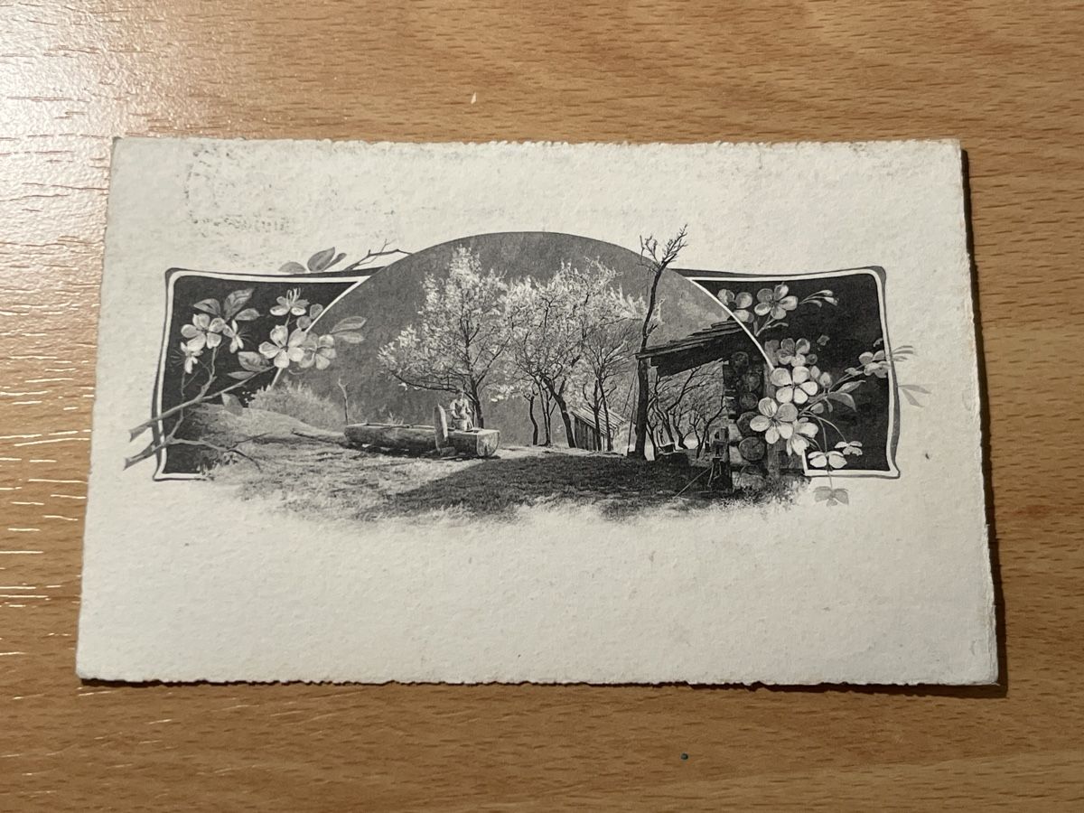Cartoline postali: Alte Ansichtskarte mit Frühlingsblüten, gelaufen – Usato da Hinwil venduto da Chuan2
