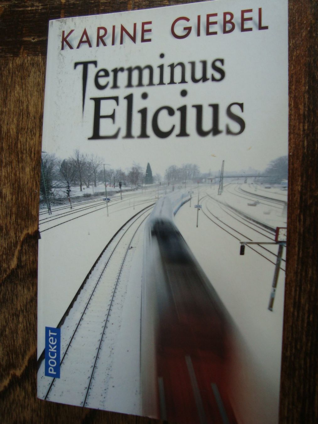Libri: Karine Giebel: Terminus Elicius – Nuovo (secondo la descrizione) da Fribourg venduto da ruswil007