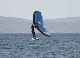 Wing Ozone Liteforce 6.6