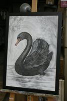 Radierung?Bleistift?  Schwarzer Schwan WB 95 mit Glasrahmen