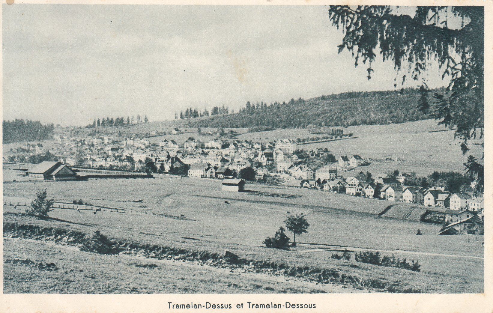 Cartoline postali: Tramelan ca. 1940 – Usato da Bürglen TG venduto da StampGraf