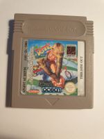 Dennis / Gameboy