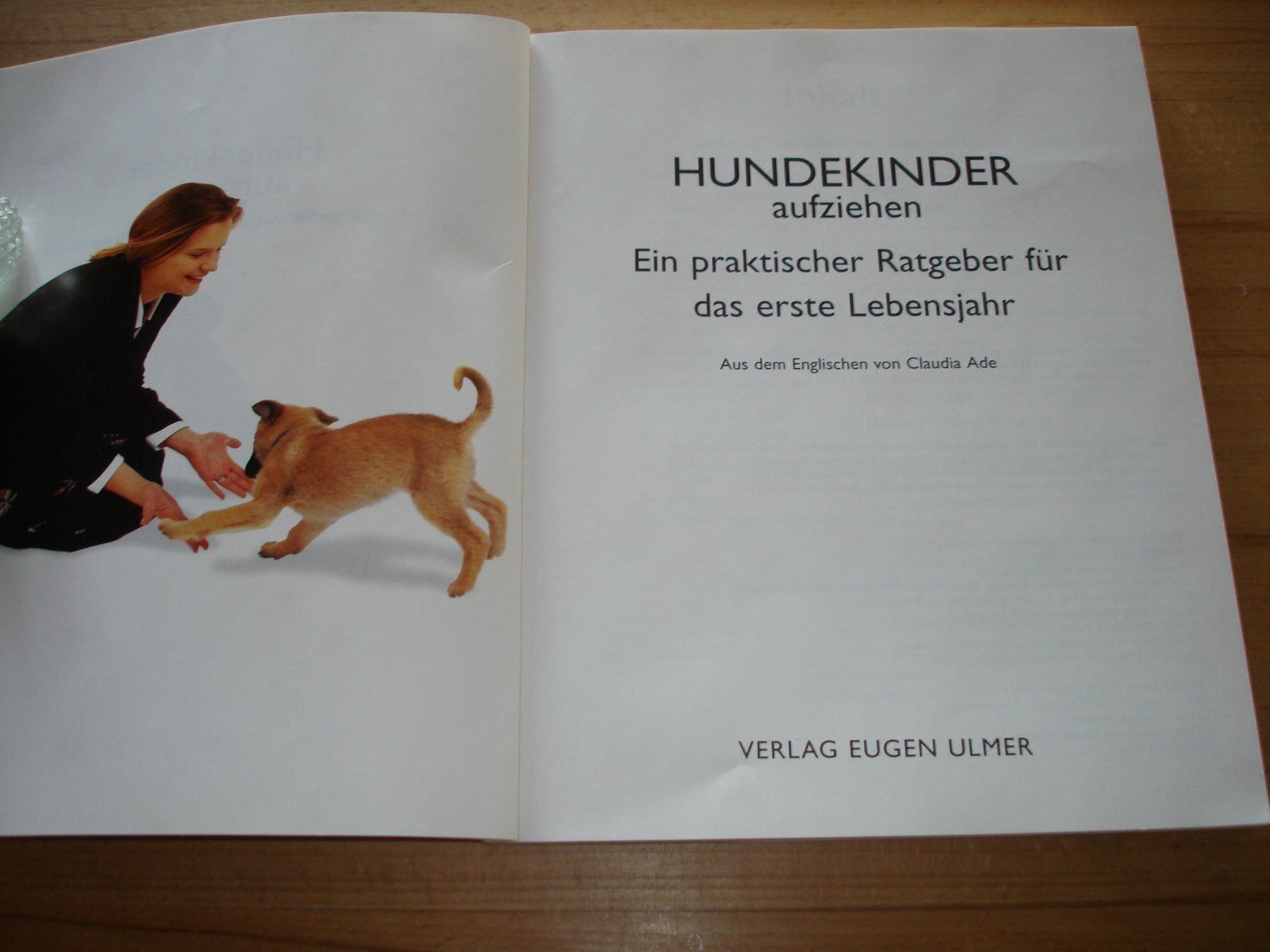 Libri: Hundekinder ausfziehen – Usato da Gossau ZH venduto da Crfurrer 1