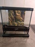 Terrarium Exo Terra 20 x 20 x 20 cm