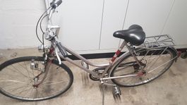 "Damen"-Fahrrad, rosa/weinrot