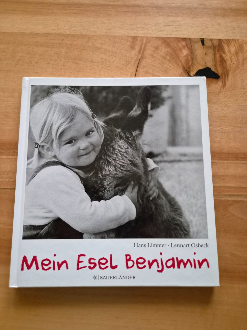 Libri: Buch Mein Esel Benjamin von Hans Limmer – Usato da Ibach venduto da urs_sl5h