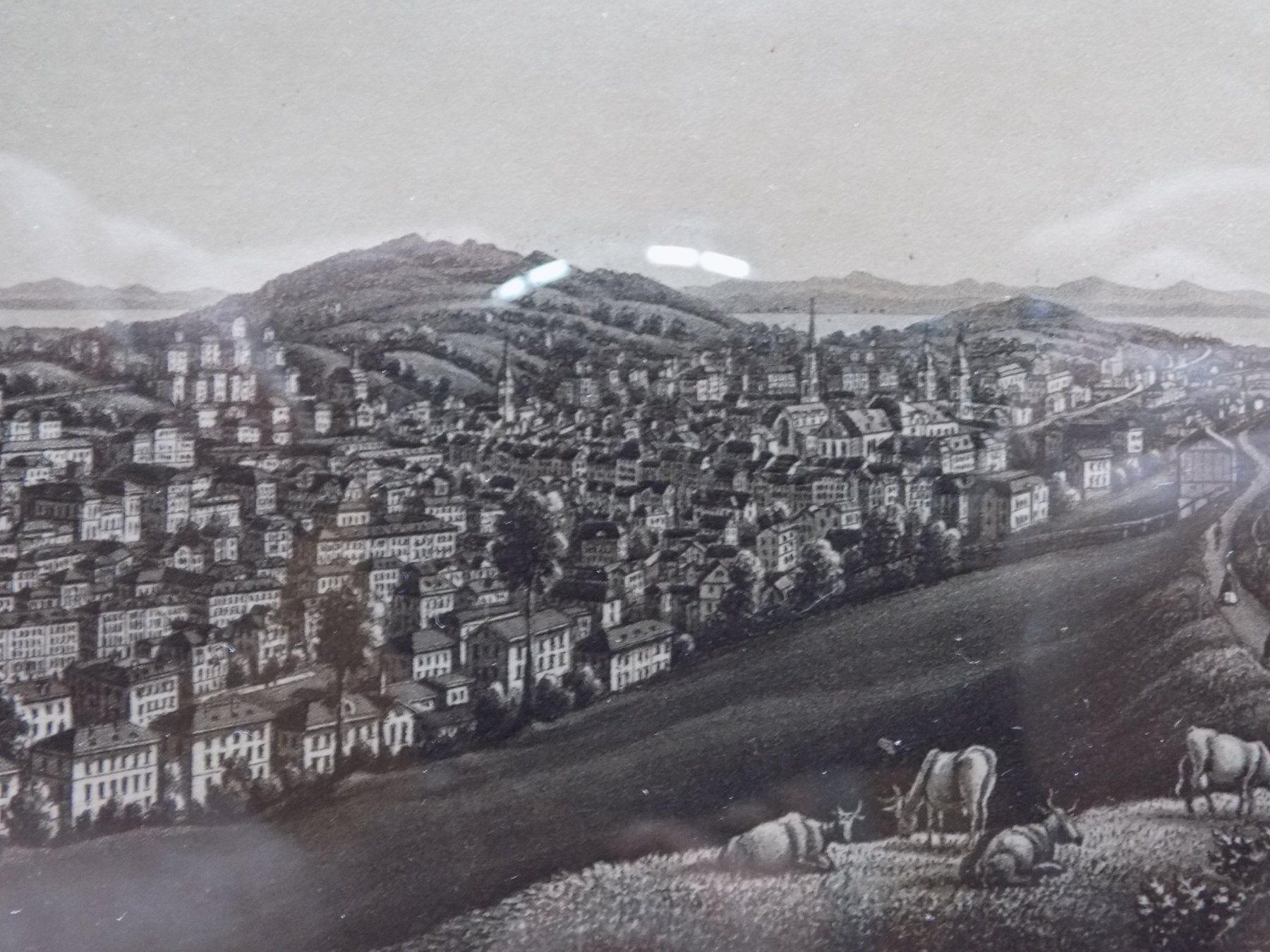 Incisioni: St.Gallen von Dikenmann – Usato da Risch venduto da Rischli15 5