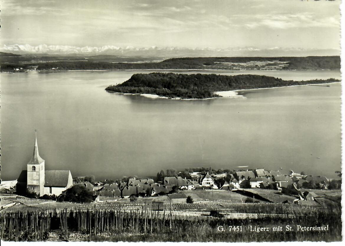 Cartes postales: Ligerz – D'occasion à Hochdorf par Ziegel-16