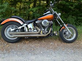 Harley Softail Custom