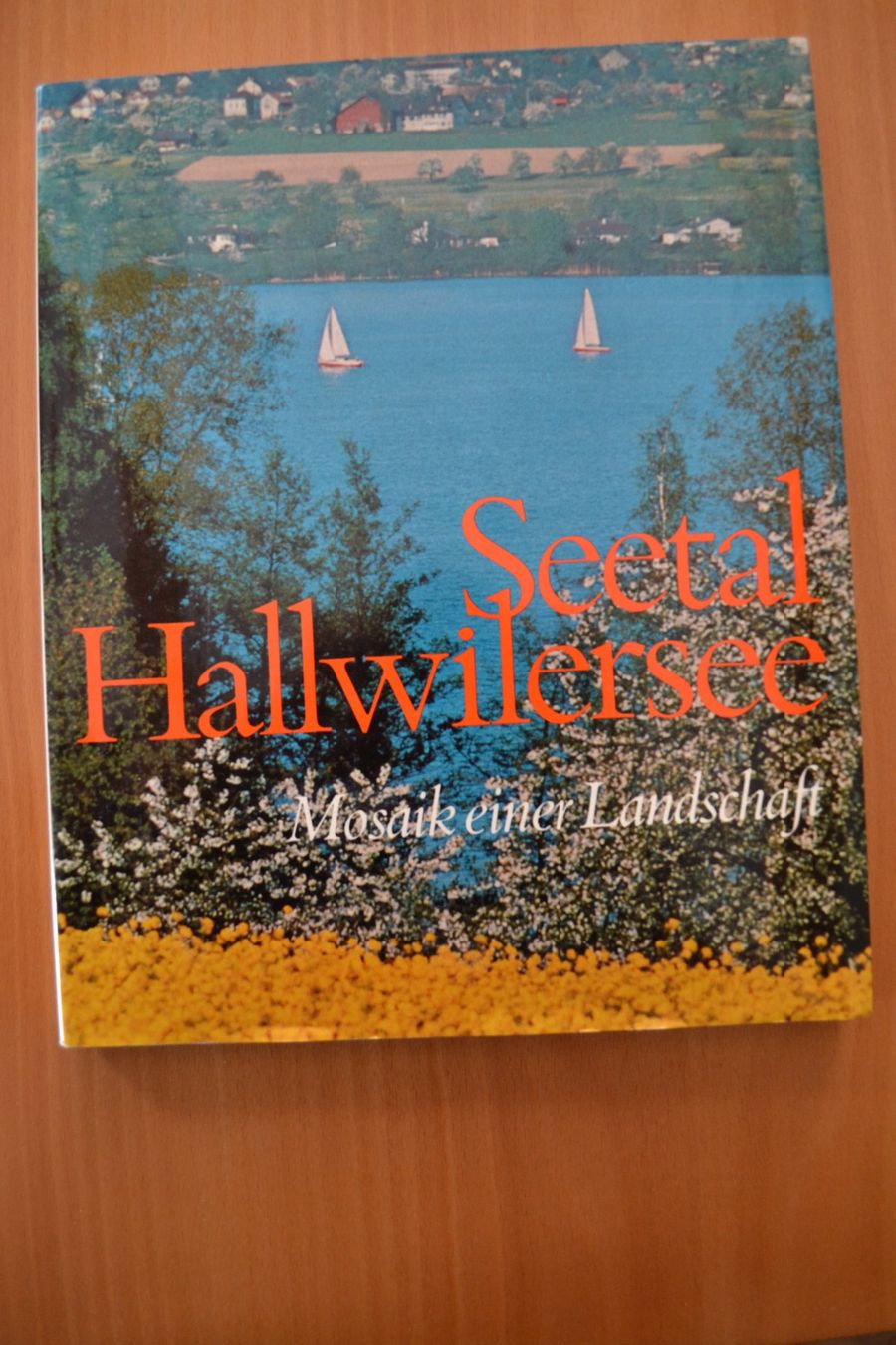 Libri: Seetal Hallwilersee mit 132 Seiten – Usato da Beinwil am See venduto da kajak55