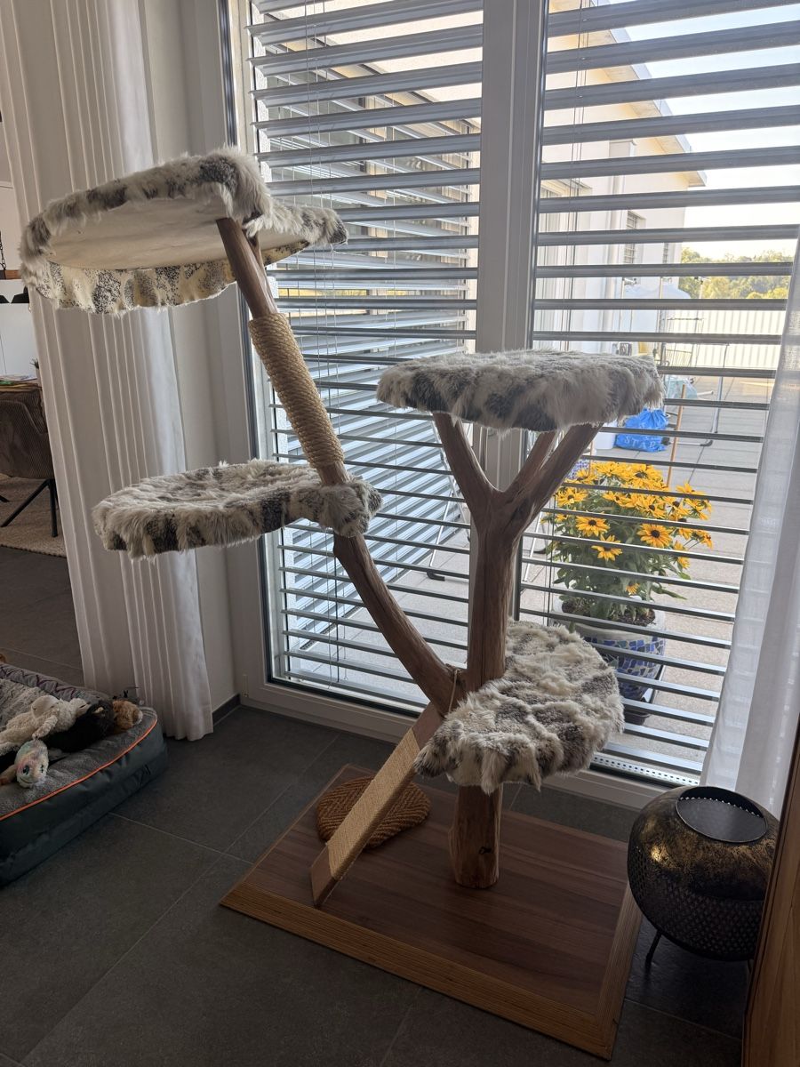 Tiragraffi: Naturkatzenbaum  – Usato da Matzingen venduto da sofie87