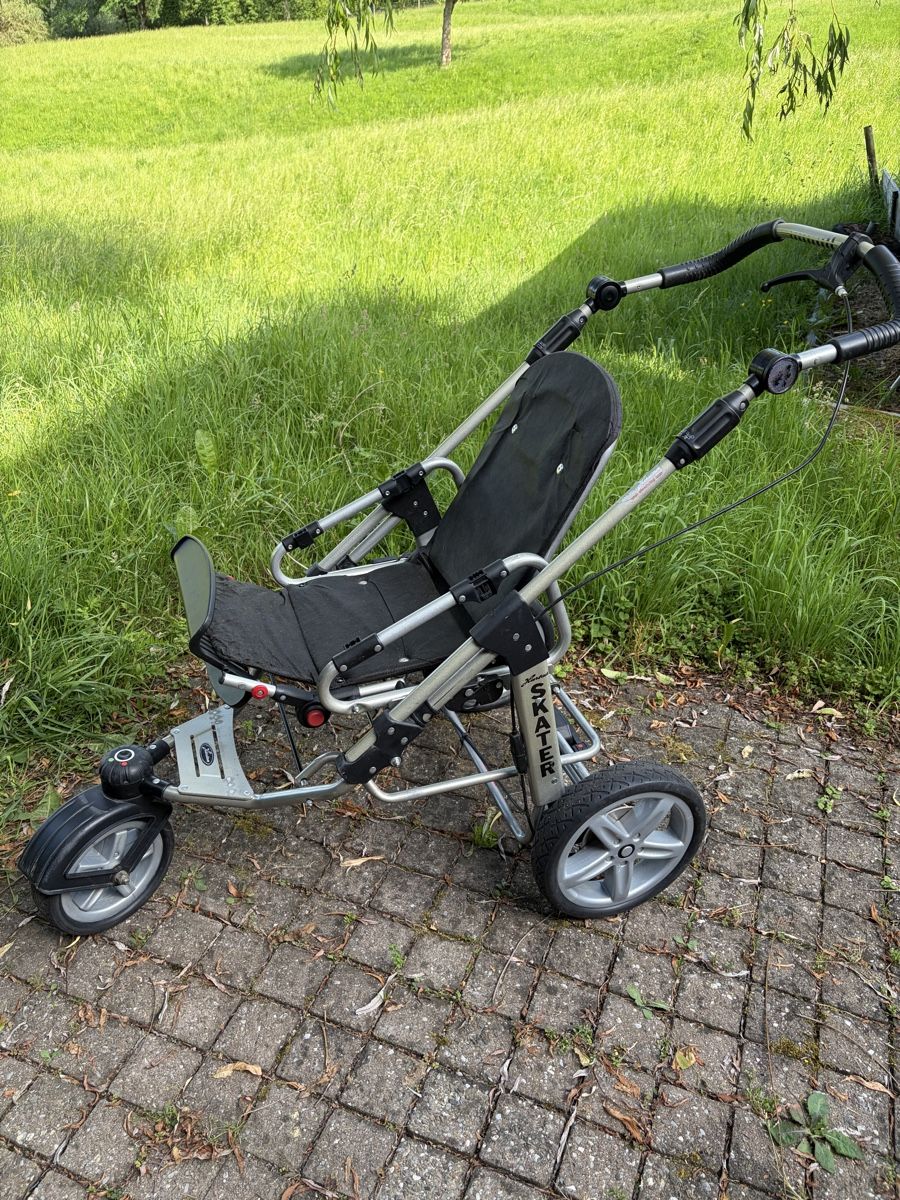 Hartan Carrozzine: Hartan Skater Kinderwagen – Usato da St. Gallen venduto da macauktion