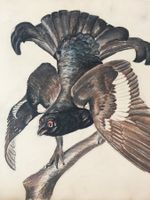 Magischer Vogel  Bild   Zeichnung Signiert