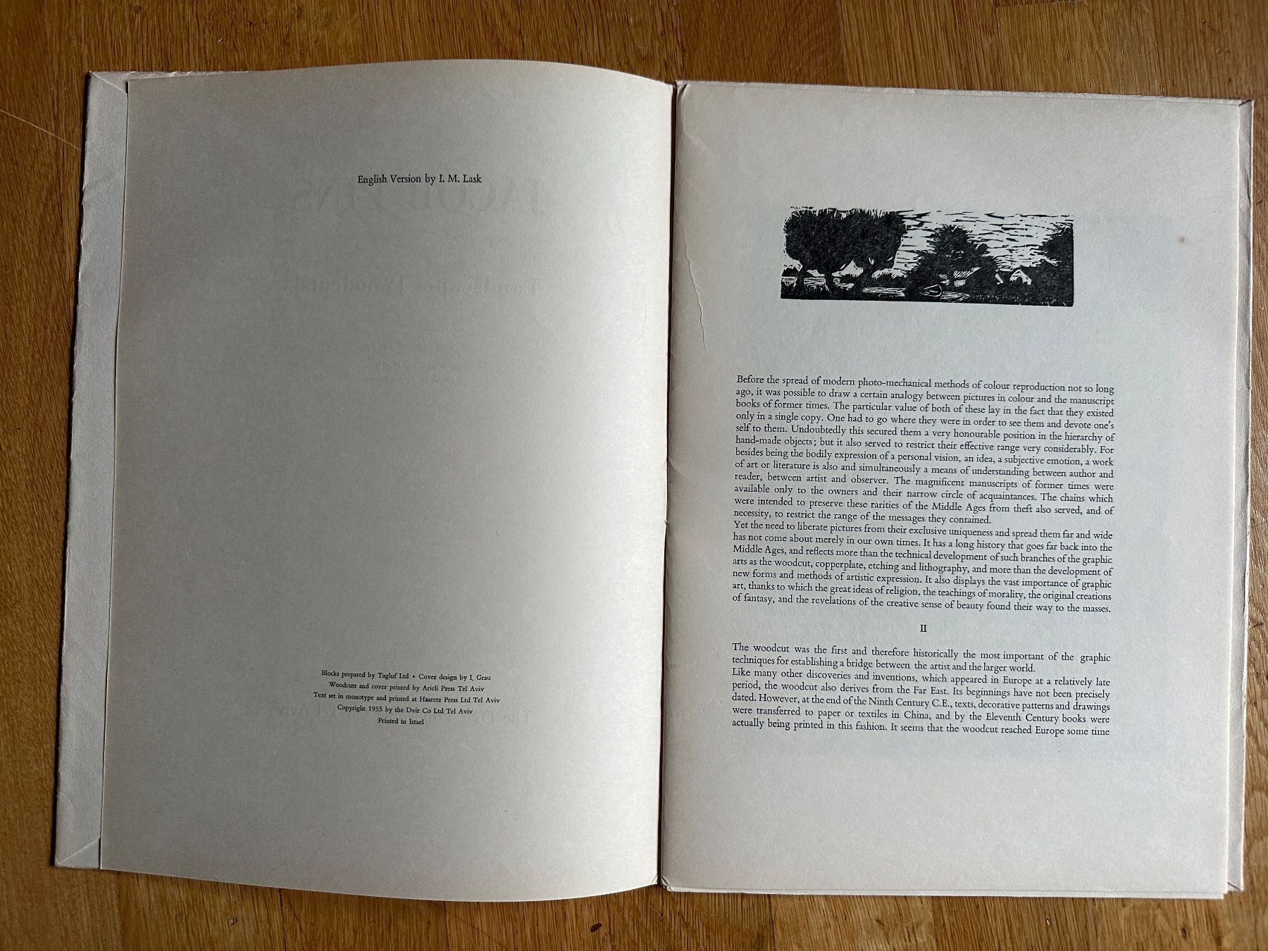 Libri: Jacob Pins: Landscape. (Woodcuts) – Usato da Zürich venduto da allp 2