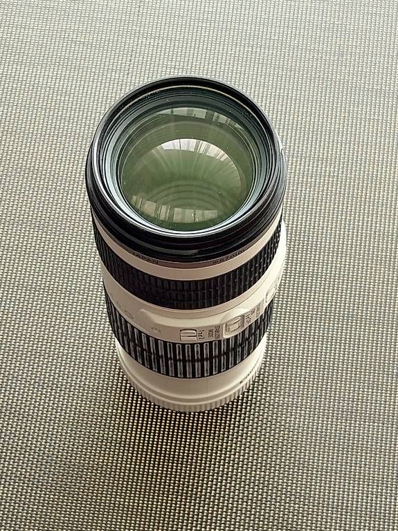 Canon Obiettivi: Canon EF 70-200mm 4.0 L IS USM – Usato da Horgen venduto da roligraf 3