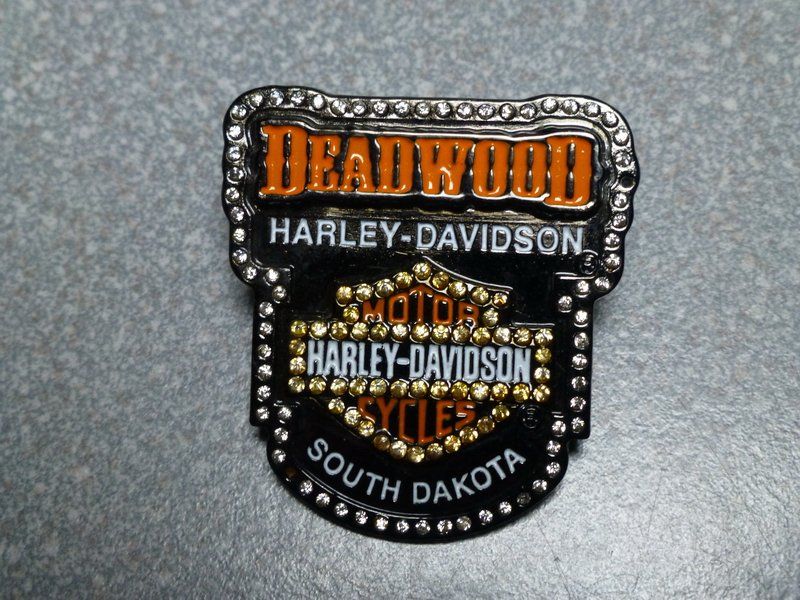 Placchette & Badge: PIN PINS HARLEY DAVIDSON HOG ABZEICHEN CHAPTER V-TWIN – Usato da Gränichen venduto da Jumbo77 3