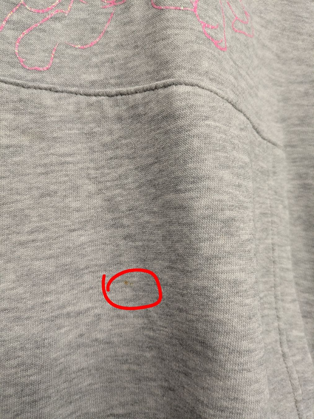 H&M Maglioni & Felpe: H&M Kapuzenpullover mit Skye von Paw Patrol, Grösse 134 – Usato da Kölliken venduto da mic_9n9d 3