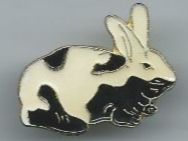 Placchette & Badge: Hasen Pin – Usato da Zürich venduto da t24_de