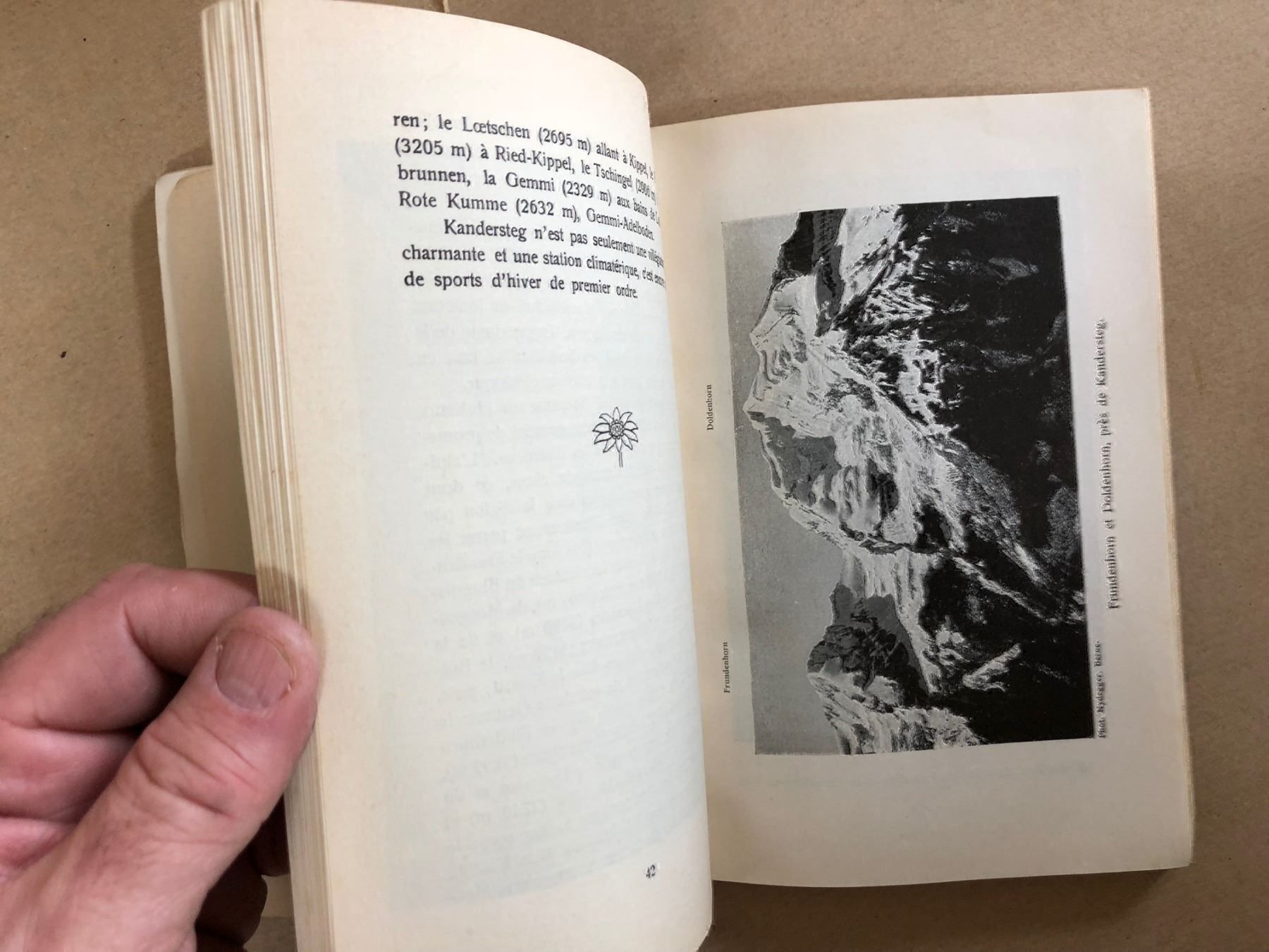 Libri: Berne-Loetschberg-Simplon – Usato da Zürich venduto da allp 7