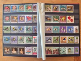 Polen Briefmarken in Album 15 Zustand gemäss Bilder