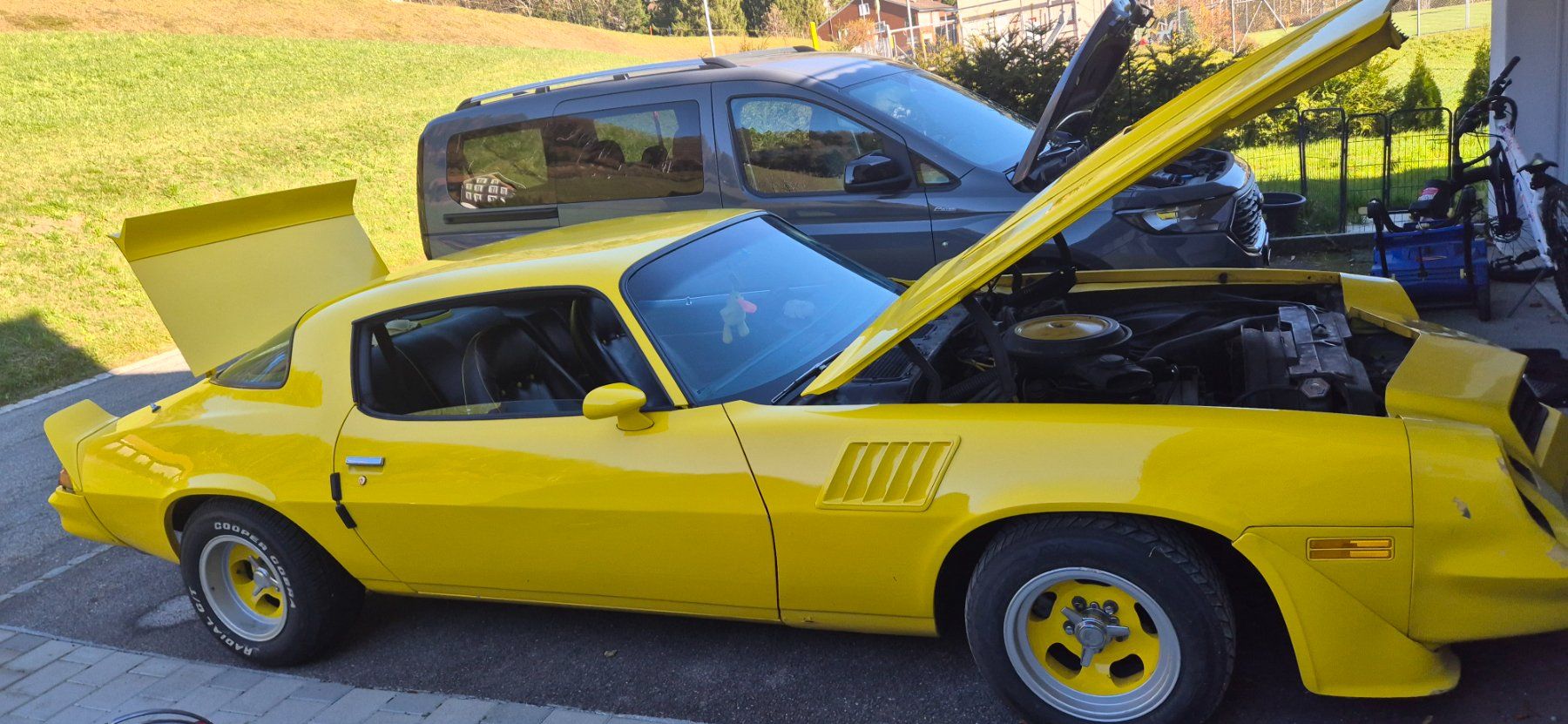 Chevrolet Automobili: Chevrolet Camaro – Usato da Walde venduto da cheescake1 1