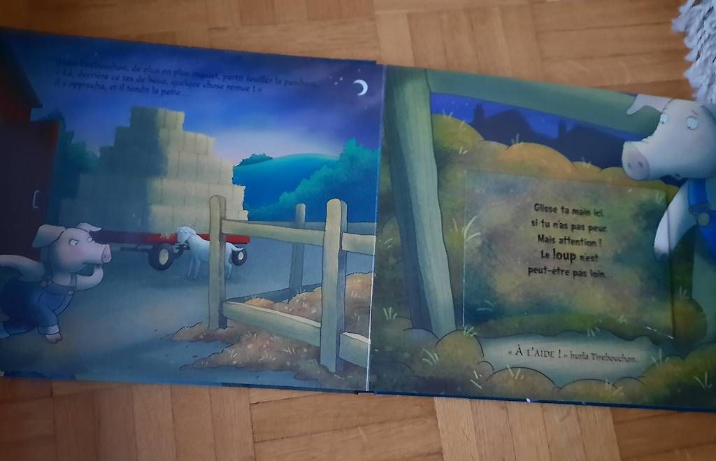 Libri: Livres tactiles Le Loup – Usato da Martigny venduto da ivi_cbf9 3