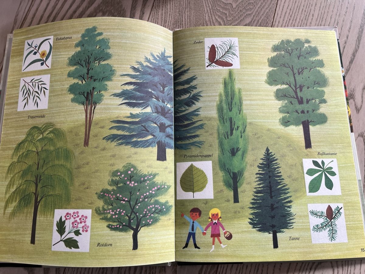 Libri: Heidi, Peter und der Garten (Kinderbuch von 1973) – Usato da Romanshorn venduto da Apfelschuss 2