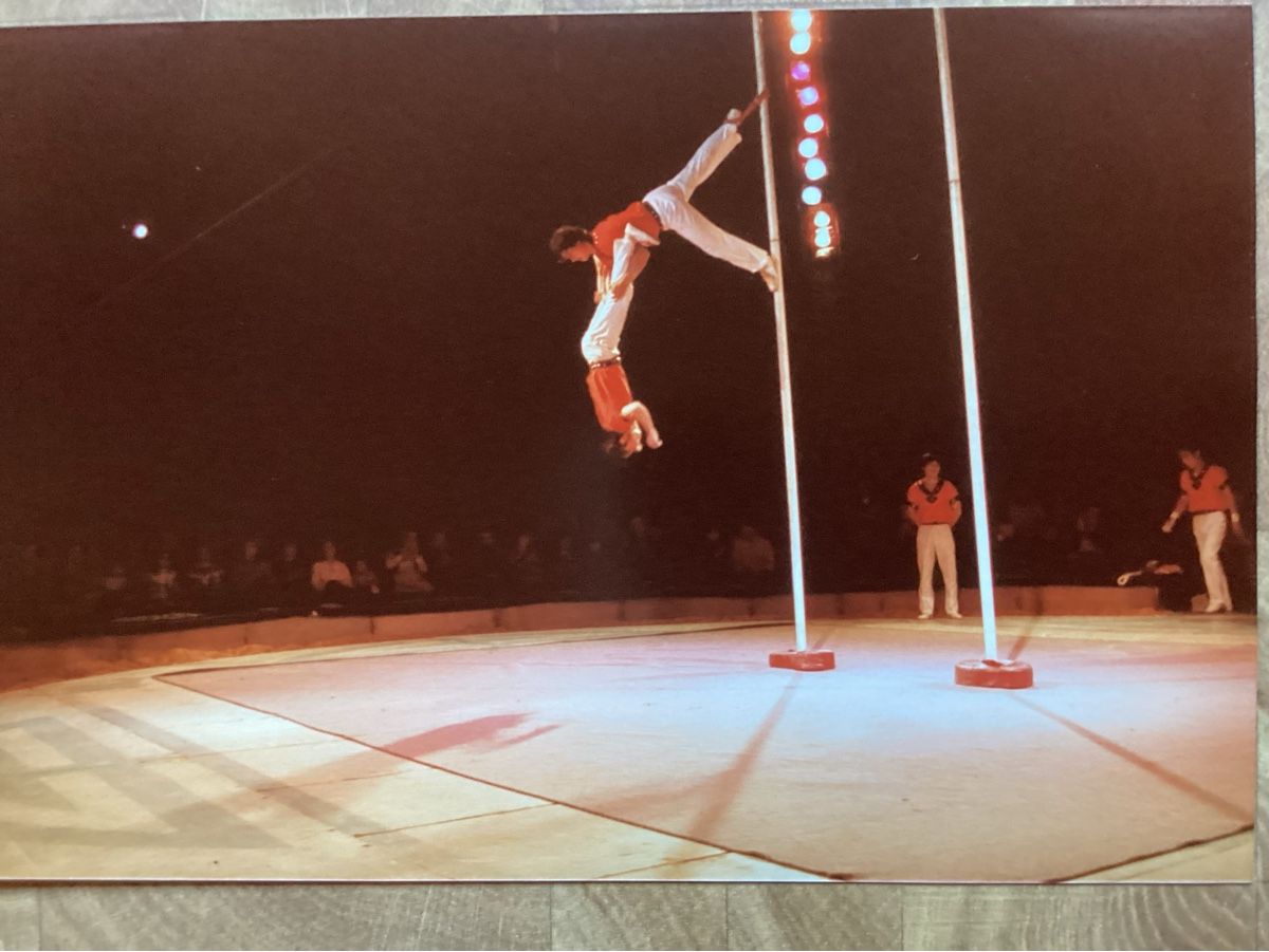 Foto & Immagini: Circus Knie Foto 1984 – Usato da Reichenbach i. K. venduto da astra2010