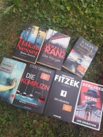 Thriller Crimi Books Bundle Set German