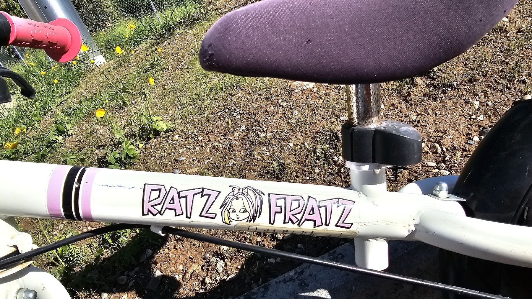 Hudora Veicoli per bambini: Laufrad Hudora Ratz Fatz – Usato da Zufikon venduto da Dadulka79 7