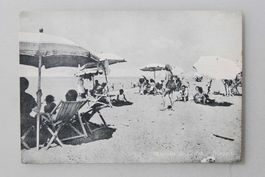 AK Montalto di Castro - Spiaggia