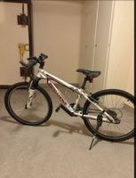 Bergamont Team Junior 24-inch kids' bike