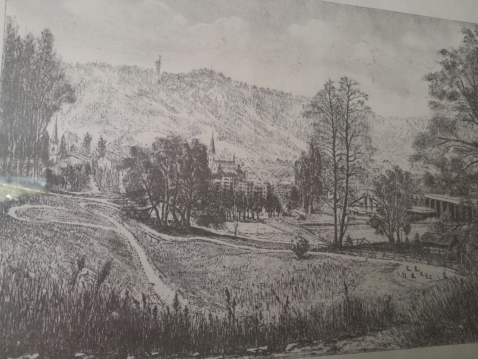 Grafica & Litografie: Landschaftsbild  Hans Zollinger – Usato da Rossrüti venduto da Hansi778 1