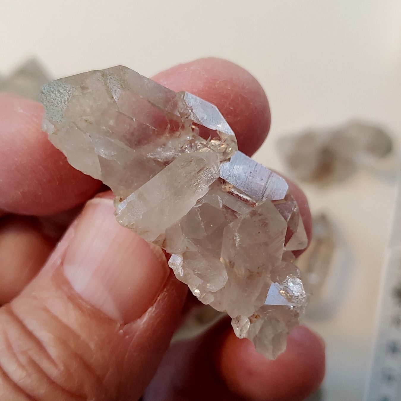 Minerali & Pietre curative: Lot Quarz, Uri, teils mit Phantom u. Skelett – Nuovo e nell'imballaggio originale da Steinhausen venduto da Kristall022 8