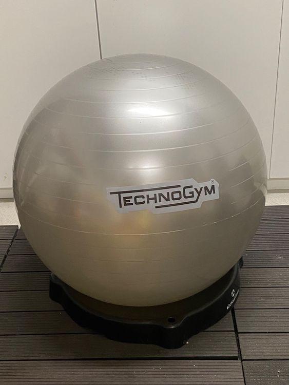 Technogym Wellness Ball Kaufen auf Ricardo