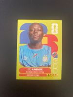 Panini FIFA World Cup Sticker COD 10