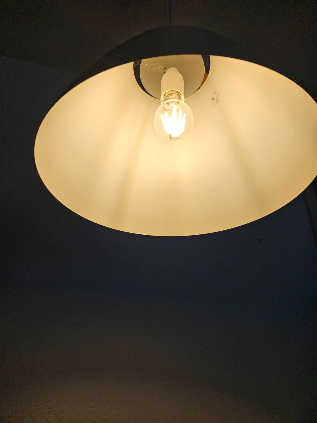 Lampadari & plafoniere: Hängelampe – Usato da Hausen am Albis venduto da m.mue13 2