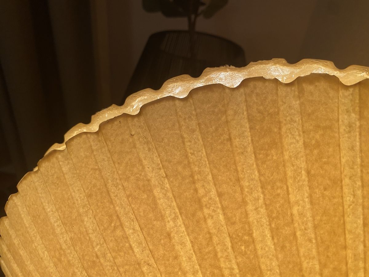 Lampen: Muschellampe Designer - Gebraucht – Gebraucht aus Beromünster von sar_kn2d 3