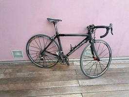 Transalpes Rennvelo