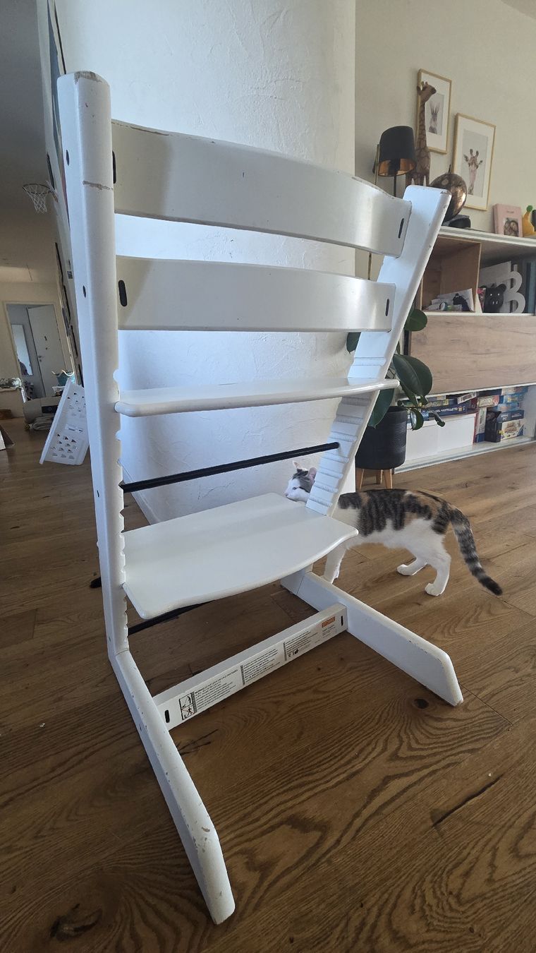Stokke Seggioloni: stokke tripp trapp – Usato da Dietikon venduto da alanda01 1